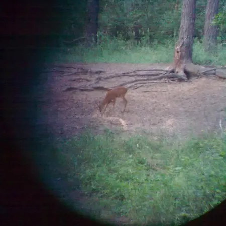 בית הארחה Zsofia Panzio Pápa