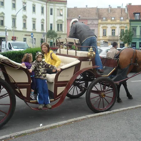Zsofia Panzio בית הארחה Pápa