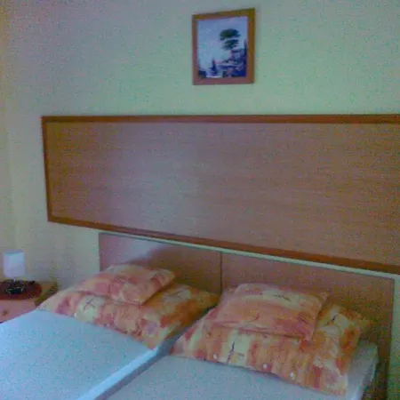 Zsofia Panzio בית הארחה