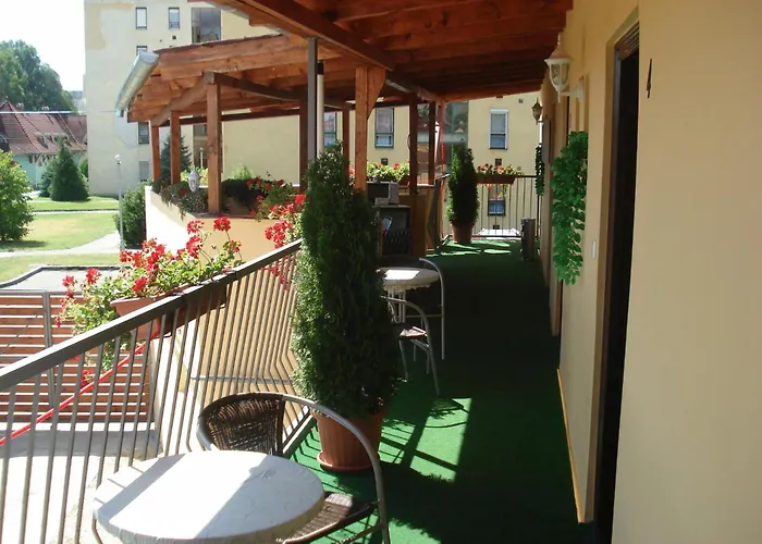 בית הארחה Zsofia Panzio