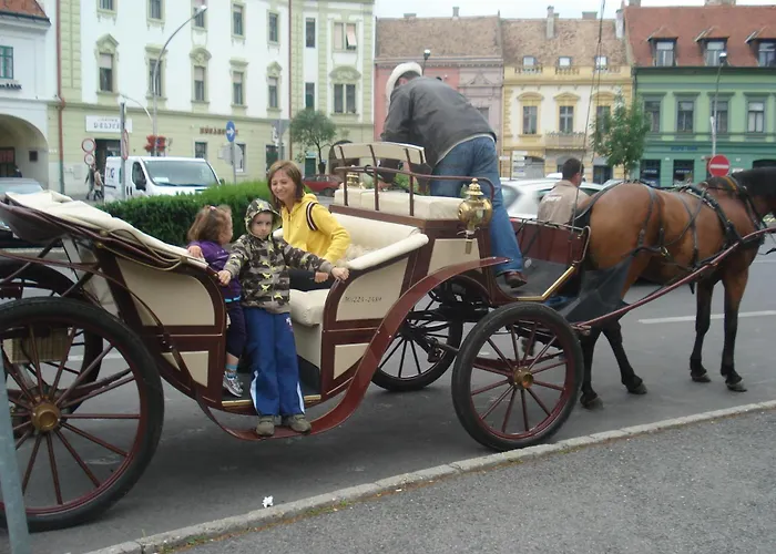 Zsofia Panzio בית הארחה Pápa