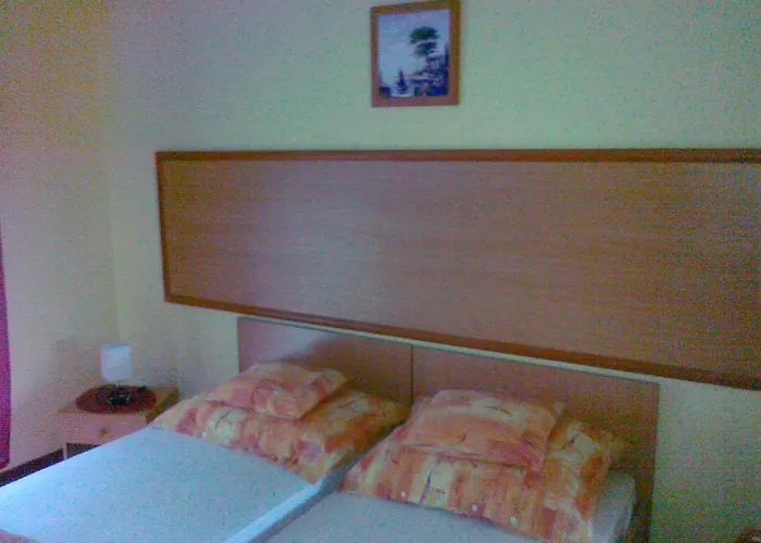 Zsofia Panzio בית הארחה